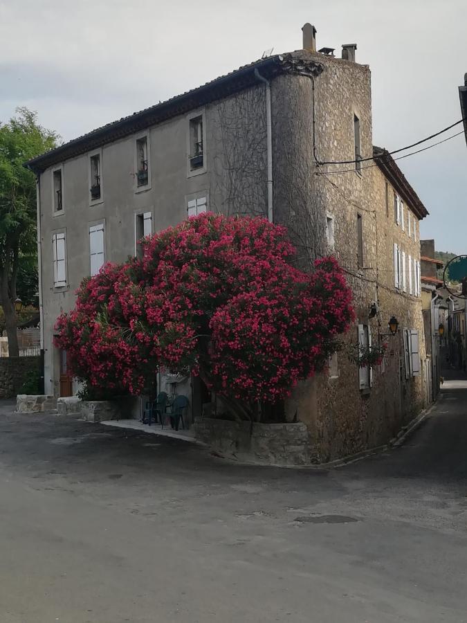 Chez Shona Ξενοδοχείο Lagrasse Εξωτερικό φωτογραφία